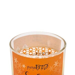 ENERGY Organic Candle - 06 - PuroBio Home