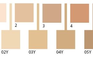 Sublime Drop Foundation - 06Y - PuroBio