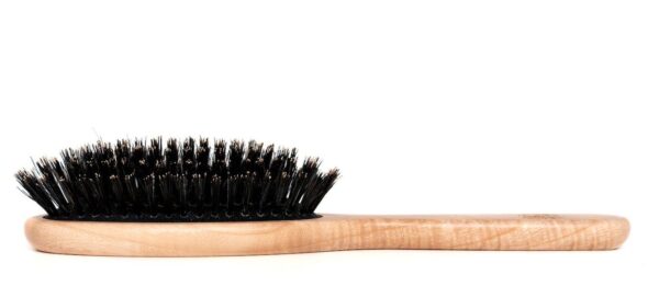 Large oval brush with boar bristles - Tek