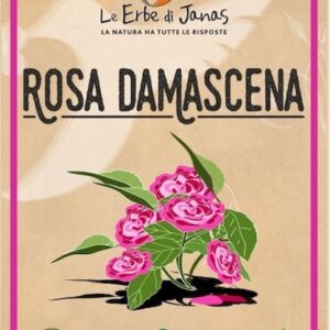 Rosa Damascena - le Erbe di Janas