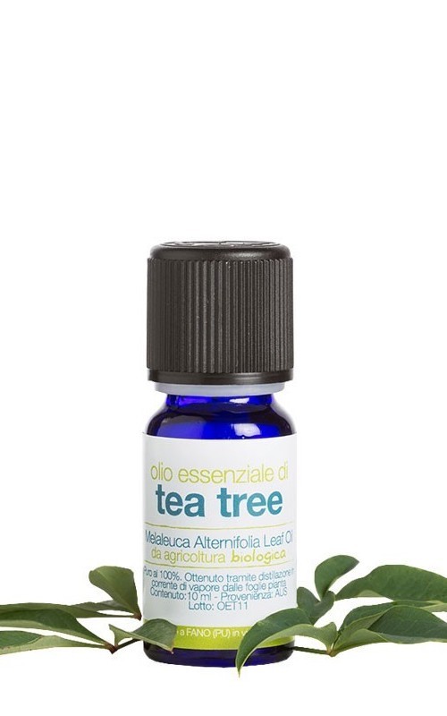 Olio Essenziale Tea Tree Oil 10ml - La Saponaria