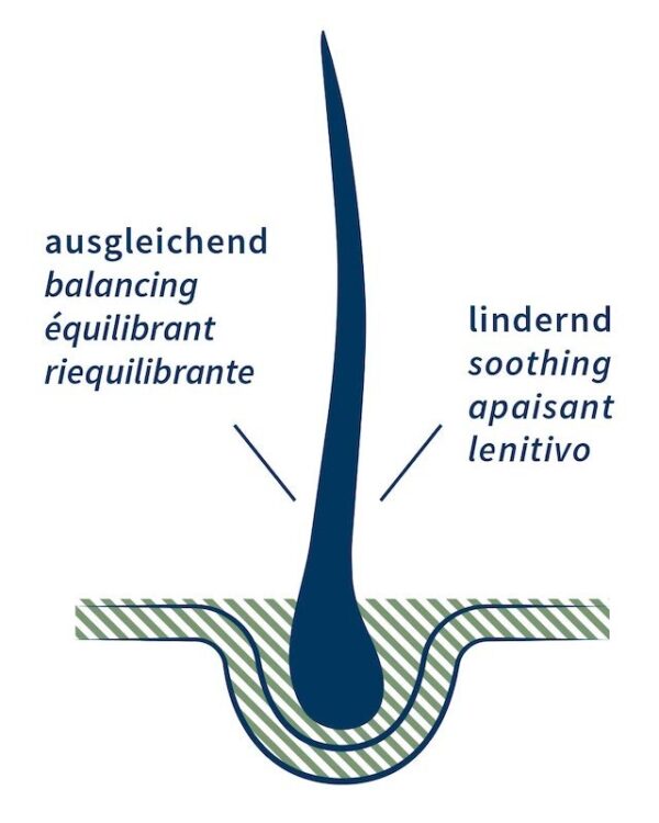 Neem Harmony Haaröl - Khadi