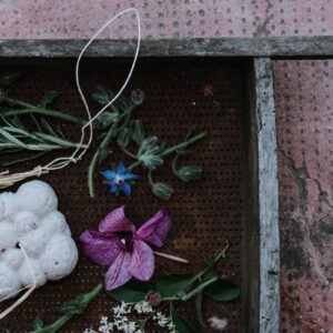 5 Petali Bagno e crema doccia solido per pelli secche - Ethical Grace