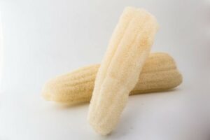 Zucca Giapponese Loofah Grande - Spugnificio Rosenfeld