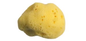 Spugna Fine Dama Imb. 2A 4 cm - Spugnificio Rosenfeld
