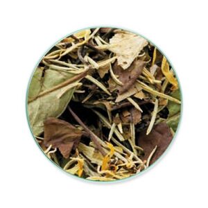 Sogno Imperiale - Organic White Tea 12pcs - Il Bio