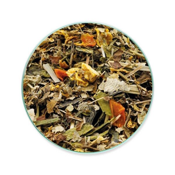 Mediterranean History - Organic Green Tea 12pcs - Il Bio