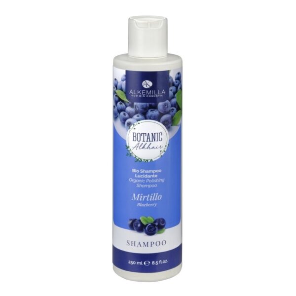 Blueberry Shampoo and Mask hair kit - Alkemilla