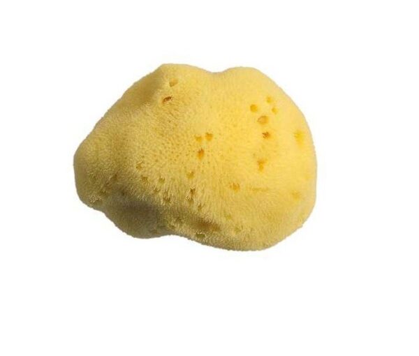 Spugna Fine Dama 2° scelta 11 cm - Spugnificio Rosenfeld