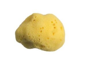 Spugna Fine Dama 2 scelta Viso 7 cm - Spugnificio Rosenfeld