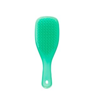 Wet Detangler Mini - Grüne Eidechse - Tangle Teezer