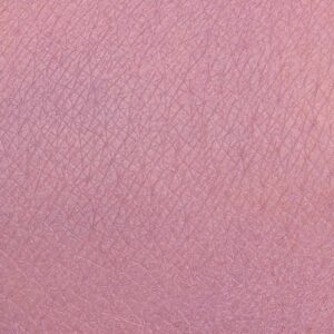 Future-Pod-Lidschatten – Neve Cosmetics