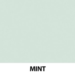 Primer Correttivo Bio - MINT - Zuii Organic -