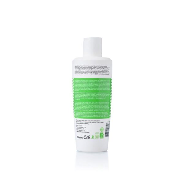 Shampoo Volumizzante - Color Vibes - Gyada Cosmetics - immagine 2