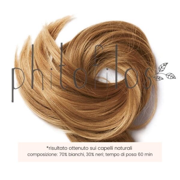 Castano Cannella 100g - Phitofilos - immagine 3