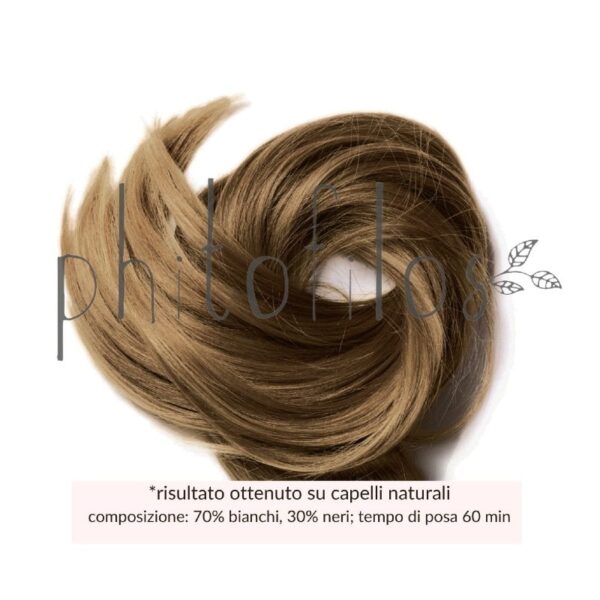 Castano Cioccolato 100g - Phitofilos - immagine 3