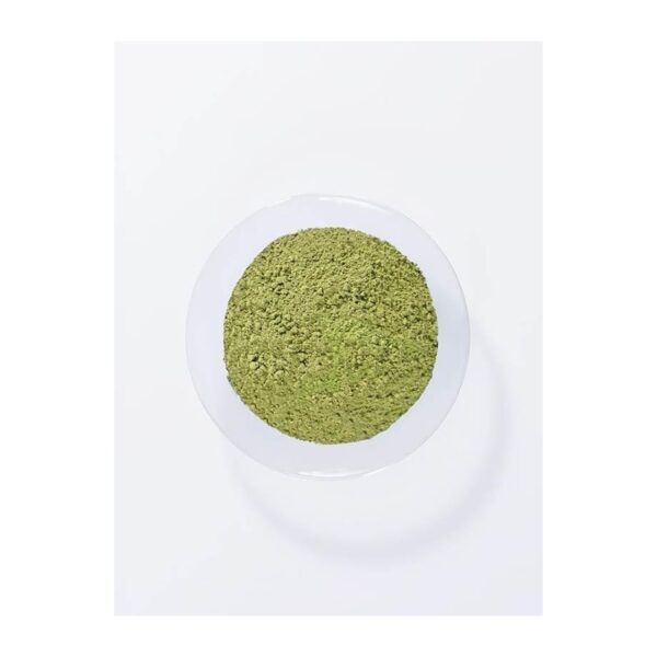 Color Prep Primer per Tinta Naturale 100g - Khadi - immagine 2