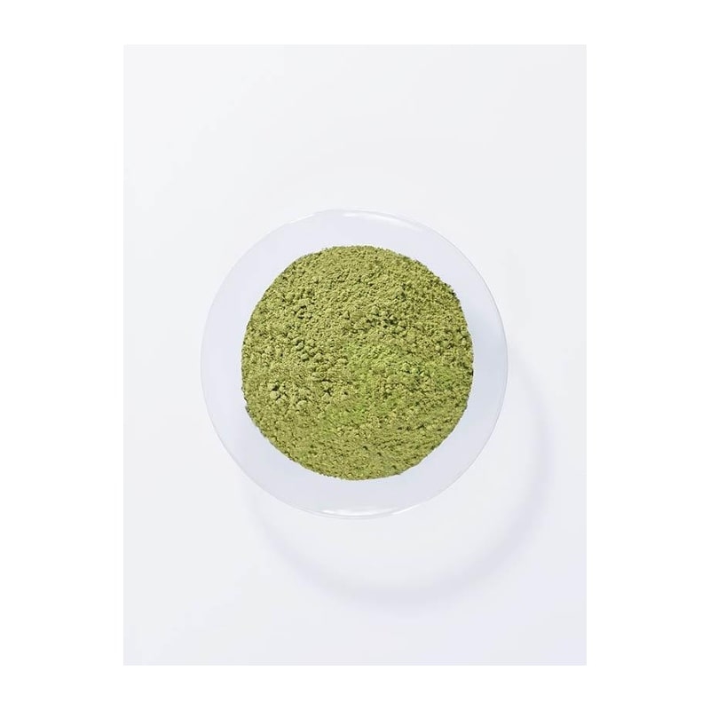 Color Prep Primer per Tinta Naturale 100g - Khadi - immagine 2