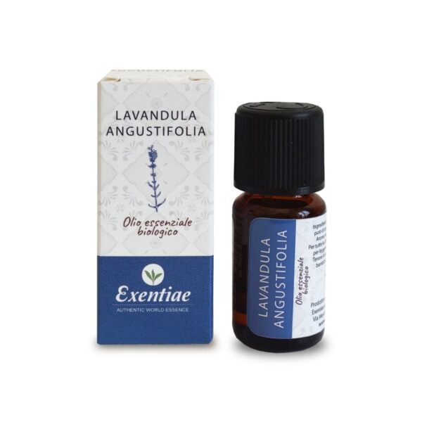 Olio Essenziale di Lavanda Grosso 10ml - Exentiae
