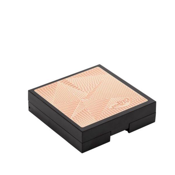 Kit Starlight eyeshadow palette - puroBio