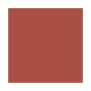 Rossetto - Twist & Lips 401 beige rouge - Couleur Caramel
