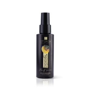 Jus Of Summer Banana & Watermelon 100ml - Eterea