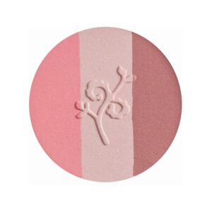 Natural Trio Blush Fall in Lov - Benecos