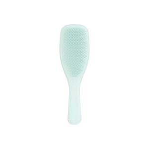 The Wet Detangler - Fine & Fragile Ice Blue- Tangle Teezer