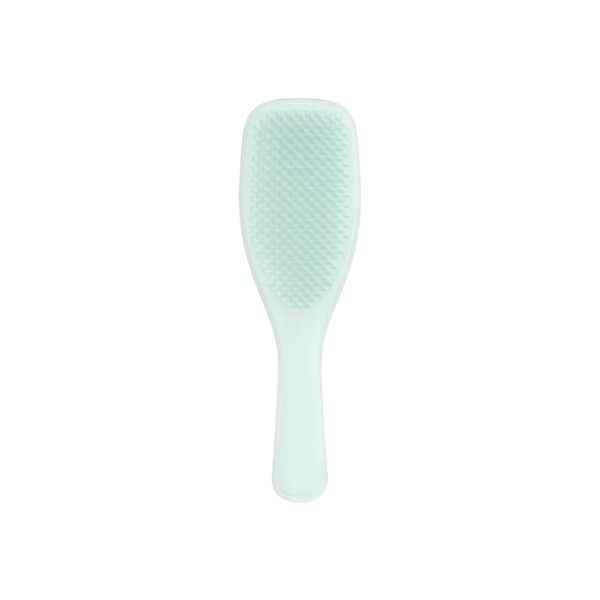 The Wet Detangler - Fine & Fragile Ice Blue- Tangle Teezer