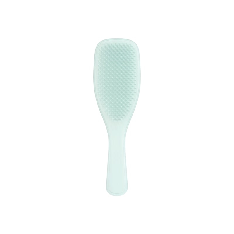 The Wet Detangler - Fine & Fragile Ice Blue- Tangle Teezer