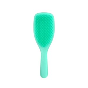 TT TUD Naturally CURLY Aqua Green - Tangle Teezer