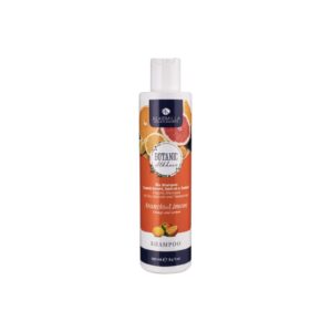 Bio Shampoo Arancia e Limone - Alkemilla